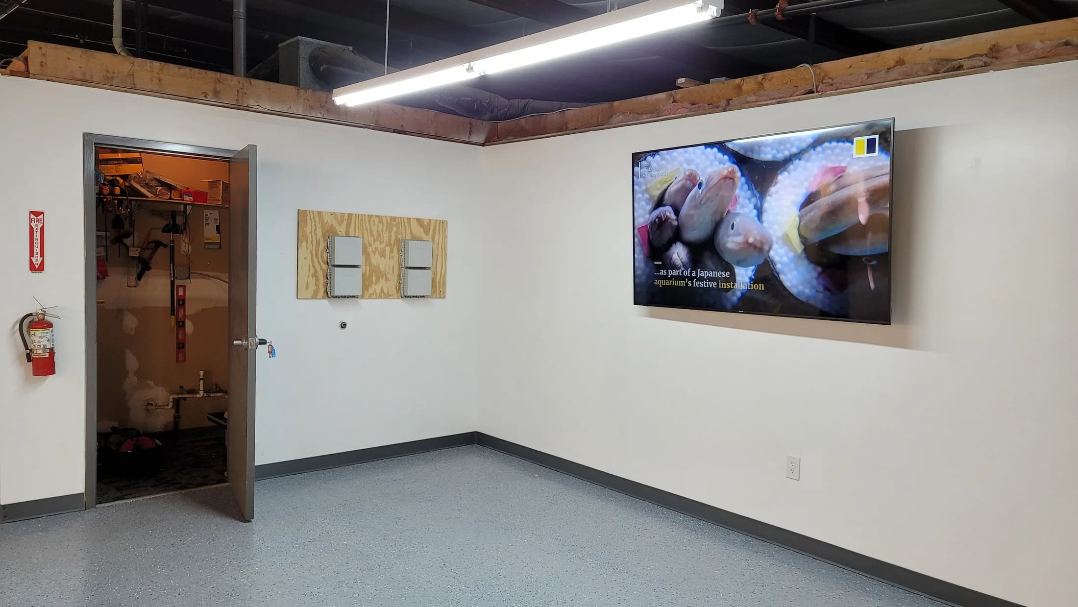 Issued lab still, 2021-02-10: corner with a television on and a door open